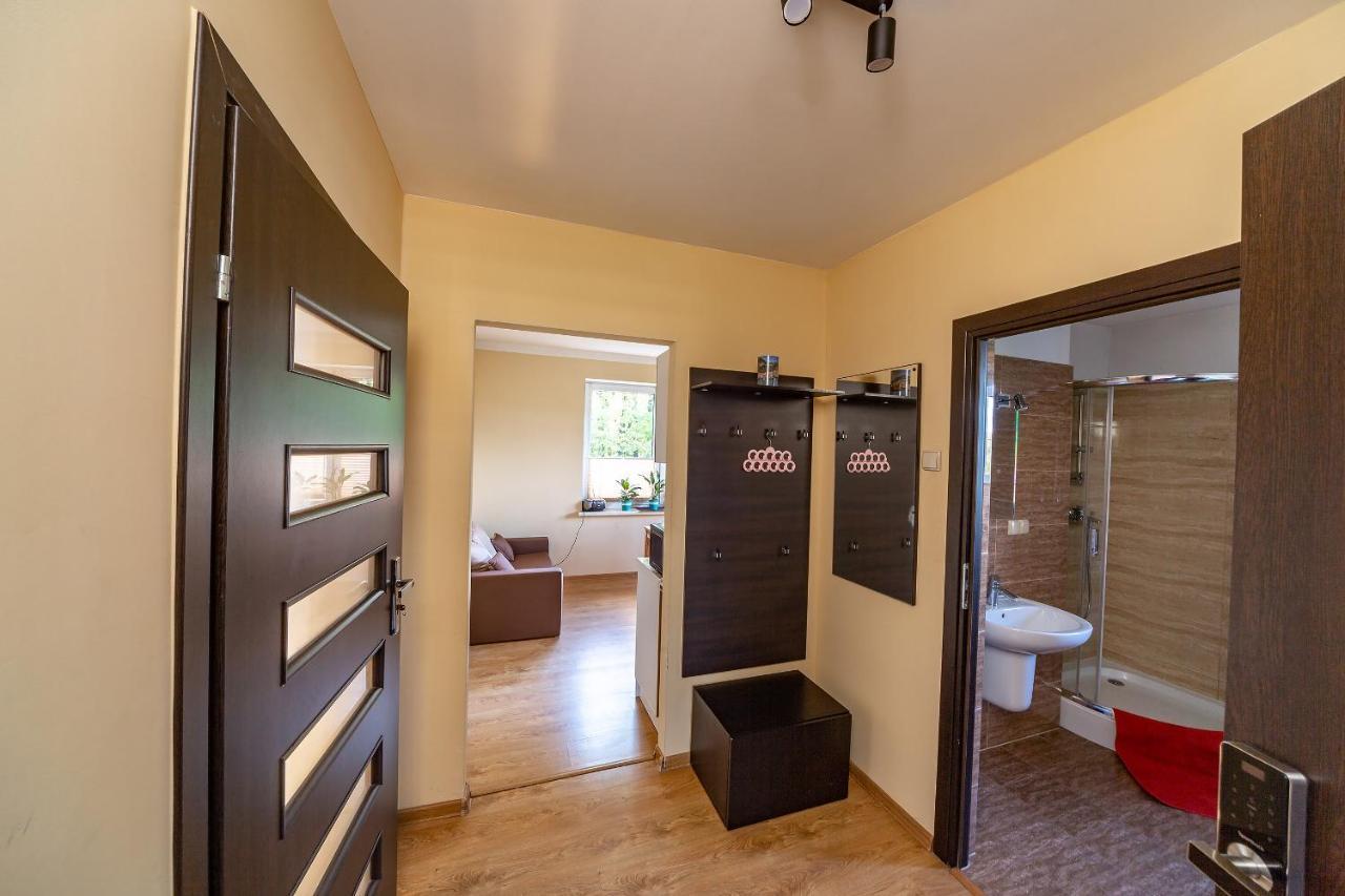 Apartament Natalia Żywiec Екстериор снимка
