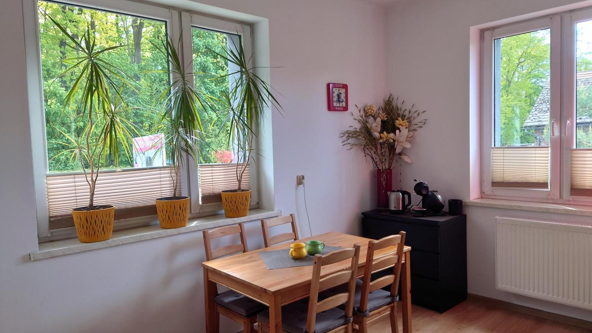Apartament Natalia Żywiec Екстериор снимка
